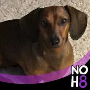 Meet your Posher, Rosemary